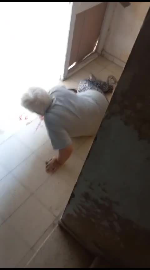 WhatsApp Video 2023-10-16 at 11.05.01 (2).mp4